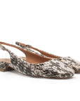 Tesa Snake | Low Heel Slingback