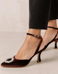 Cinderella Crystal Brown | Embellished Velvet Pump