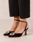 Cinderella Crystal Brown | Embellished Velvet Pump