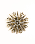 Powerful Mind | Starburst Brooch