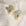 Gold & Blue